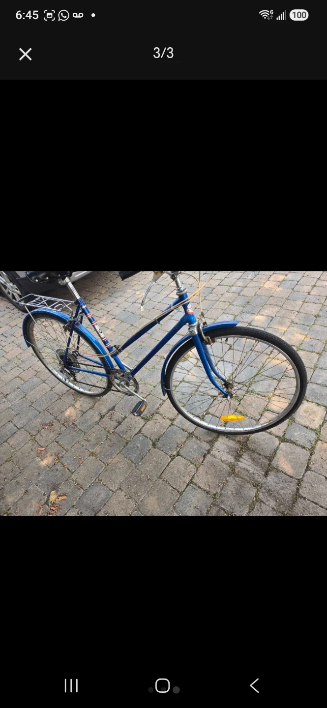 Raleigh Road Women Bicycle  Miss Lisgar $110