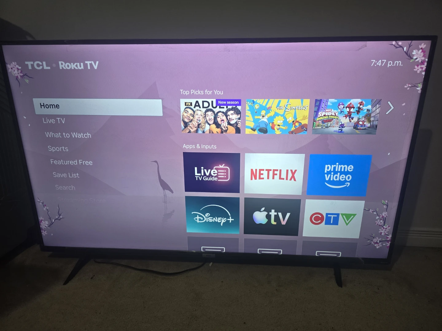 Roku TV 55"