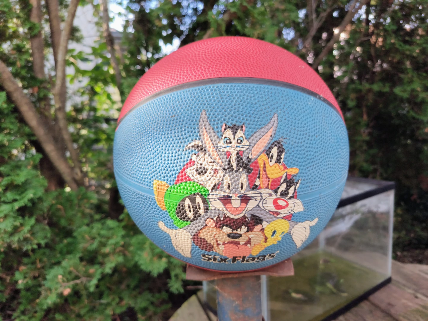 Used Basketball solid filled wir air six flags - photo 4