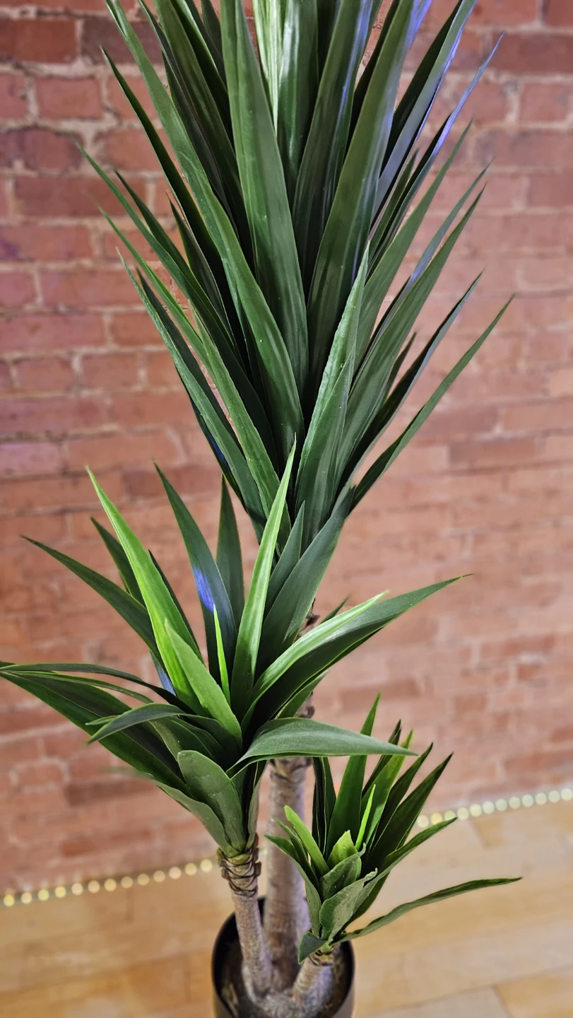 Artificial Yucca Plant with Metal Stand - photo 5