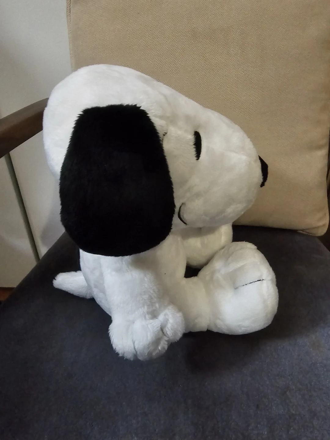 Canada's Wonderland Snoopy Plush