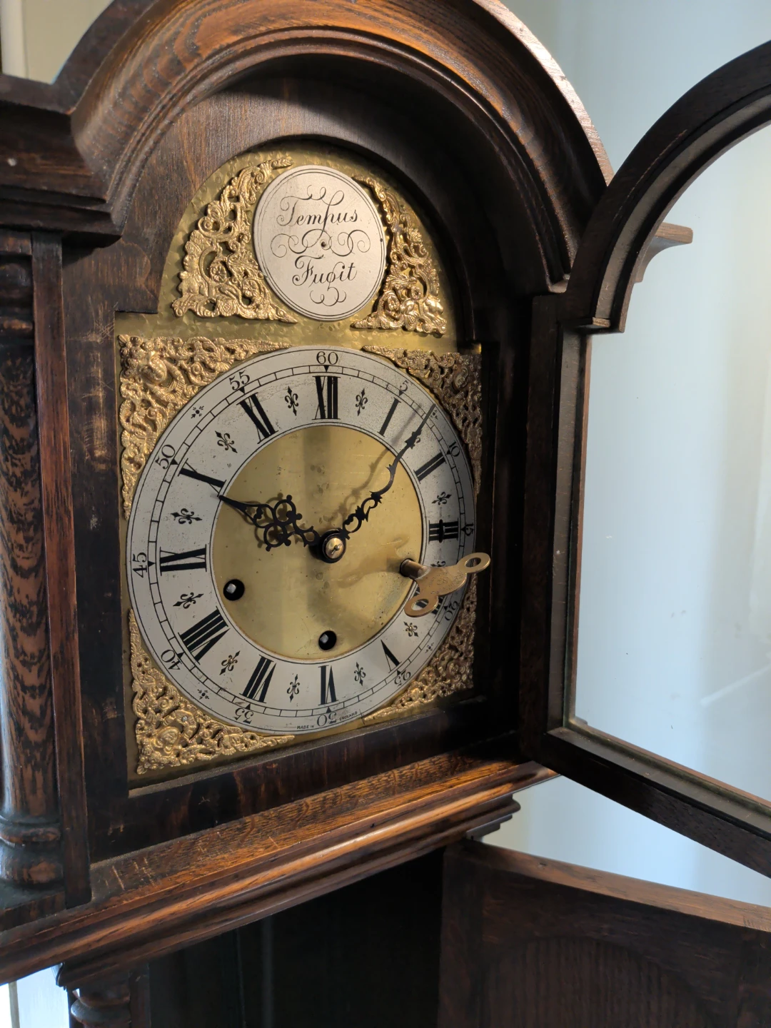 Vintage Tempus Fugit Grandfather Clock - photo 4