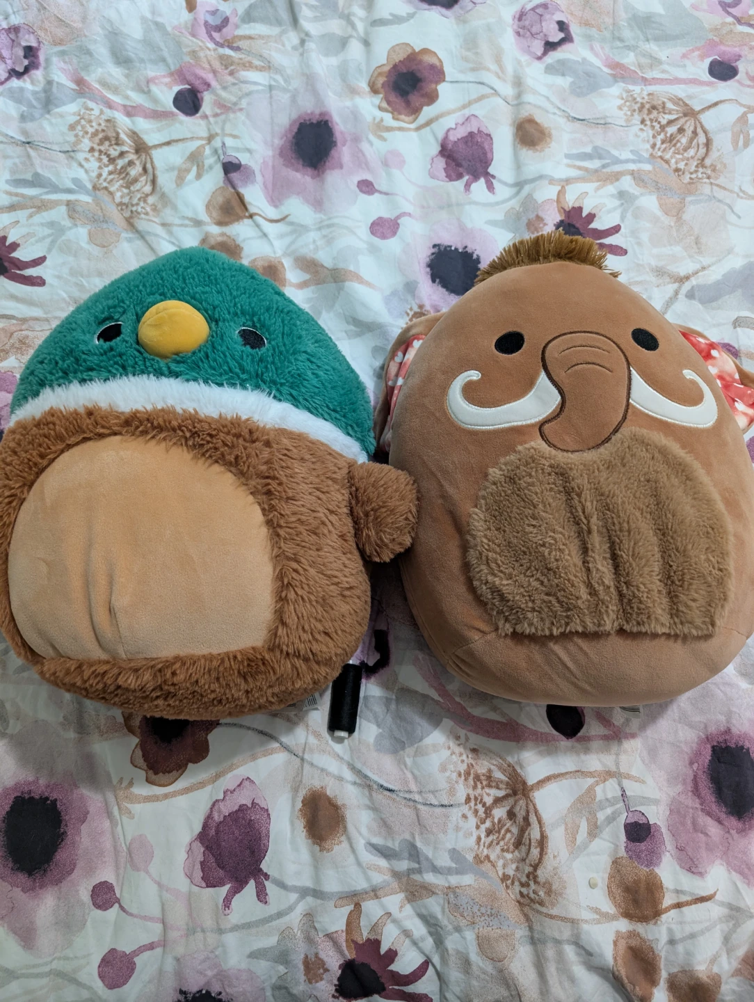 Two Squishmallows plush toys🏈