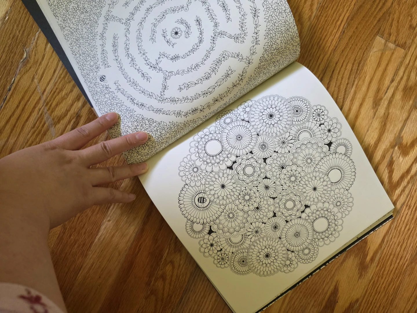 Secret Garden Colouring Book by Johanna Basford - photo 2