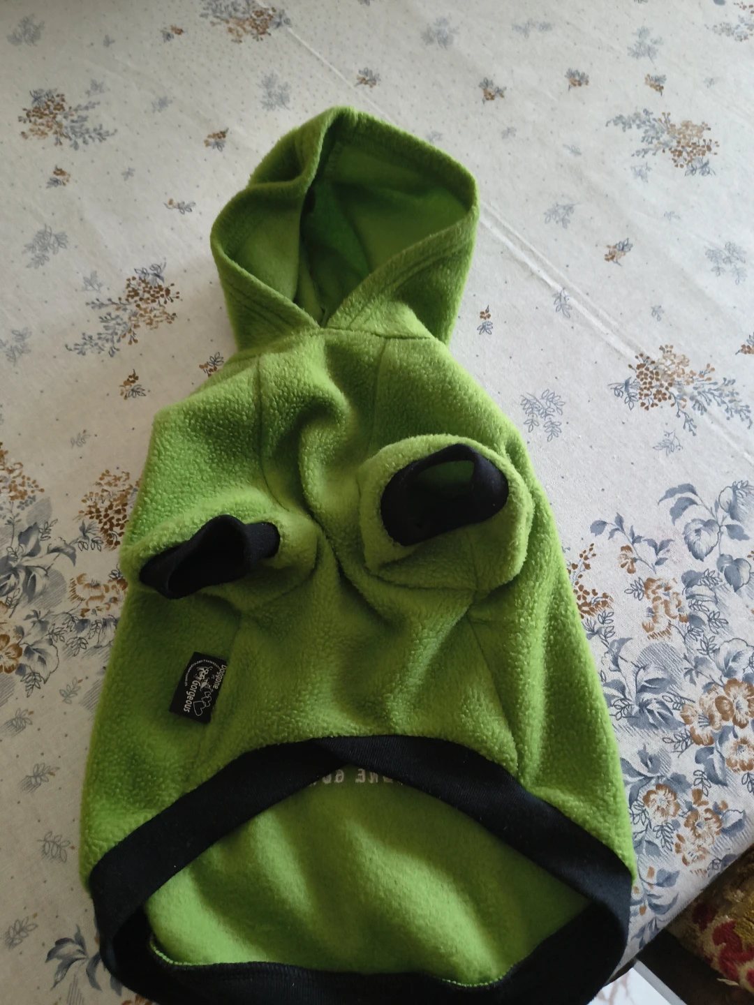 DGG Doggone Gorgeous Green Dog Hoodie - photo 4