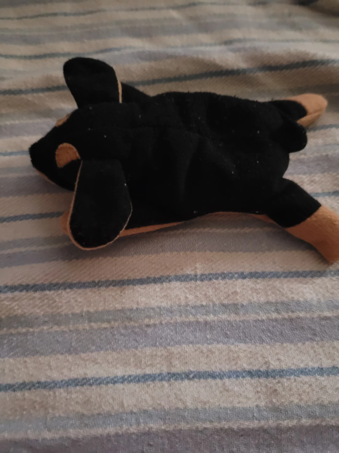 Vintage ty teenie Beanie