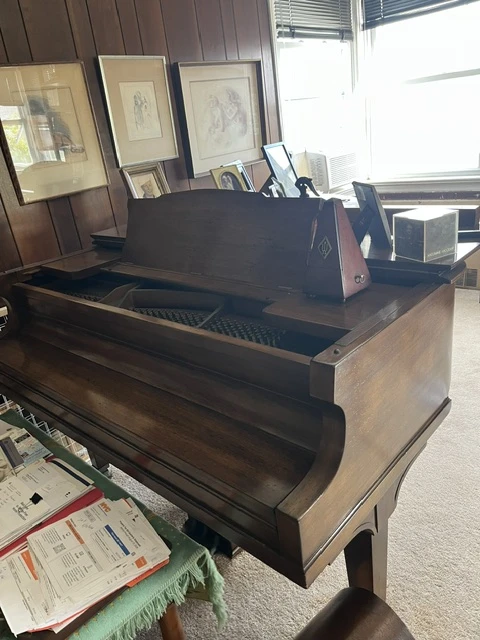 Free Baby Grand Piano - photo 3