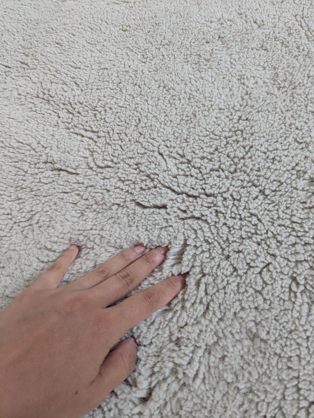 Cream Area Rug - photo 2