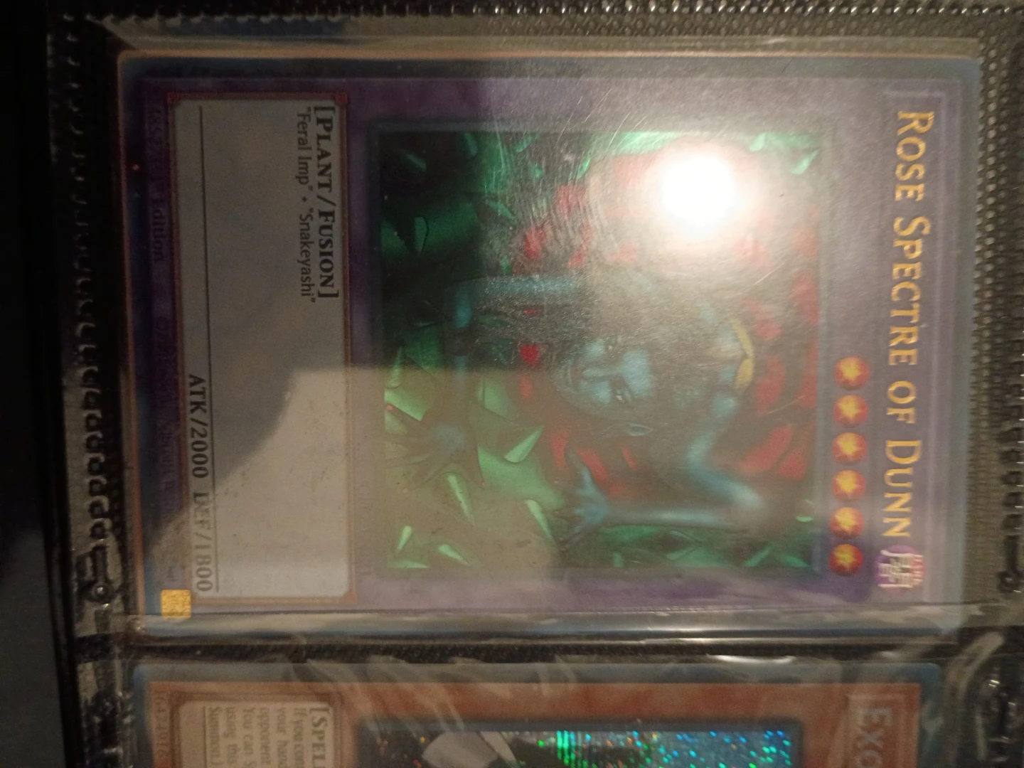 Yu-Gi-Oh! Rose Spectre of Dunn Card🏈