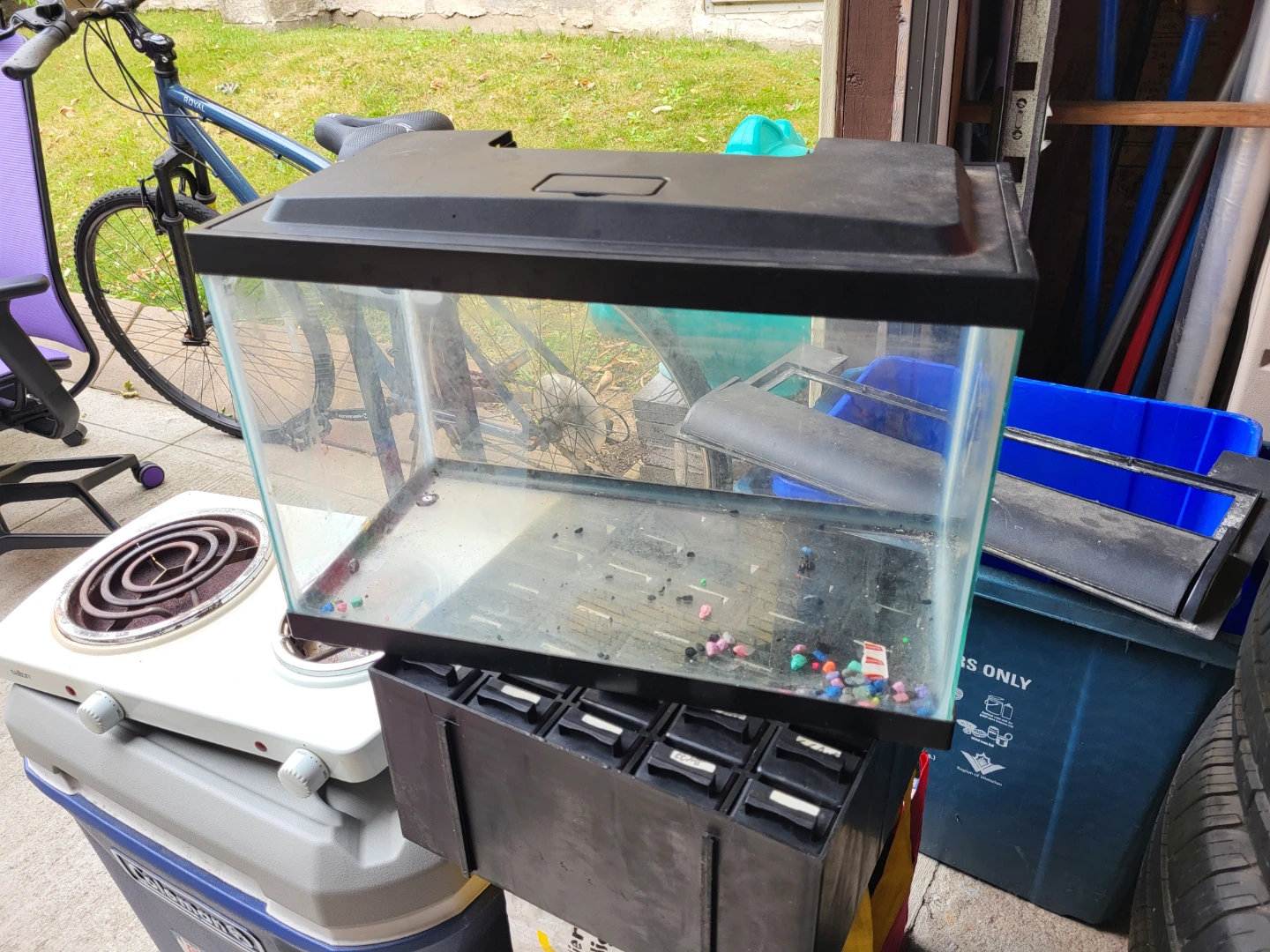 5 gal. Glass Aquarium Tank with Lid