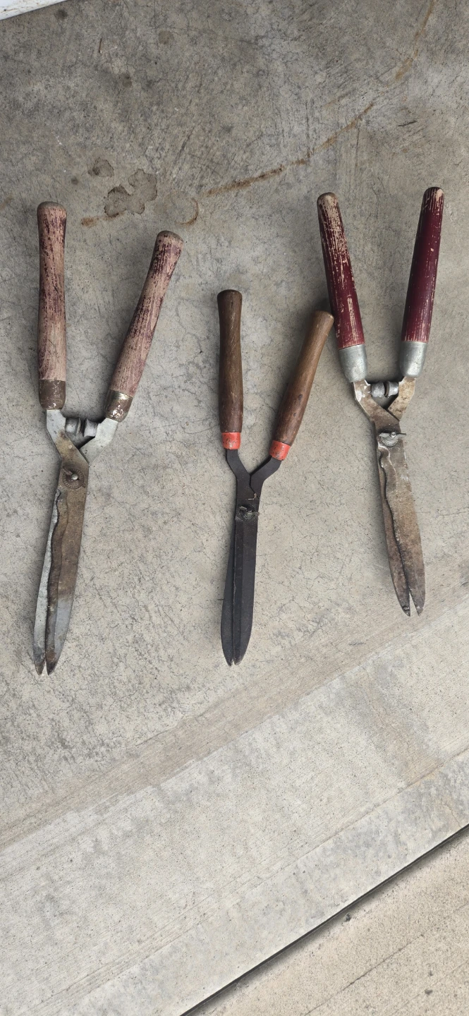 Hedge Shears