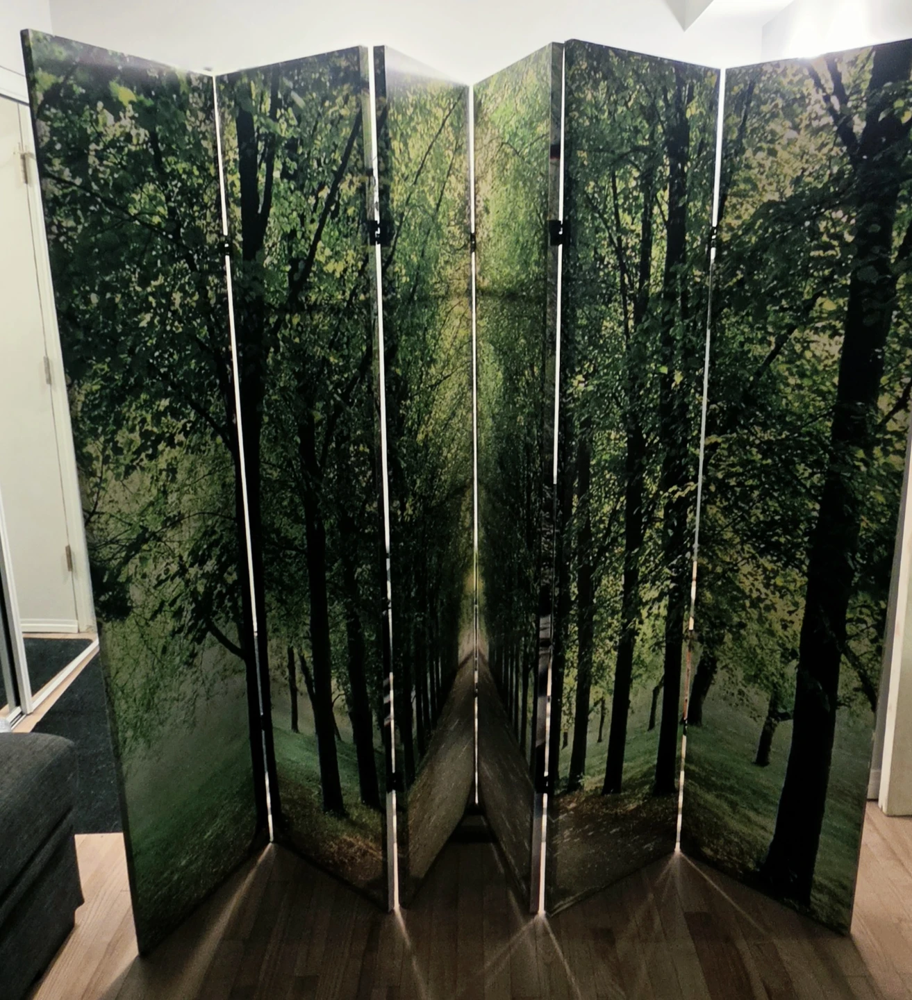 6-Panel Forest Print Room Divider