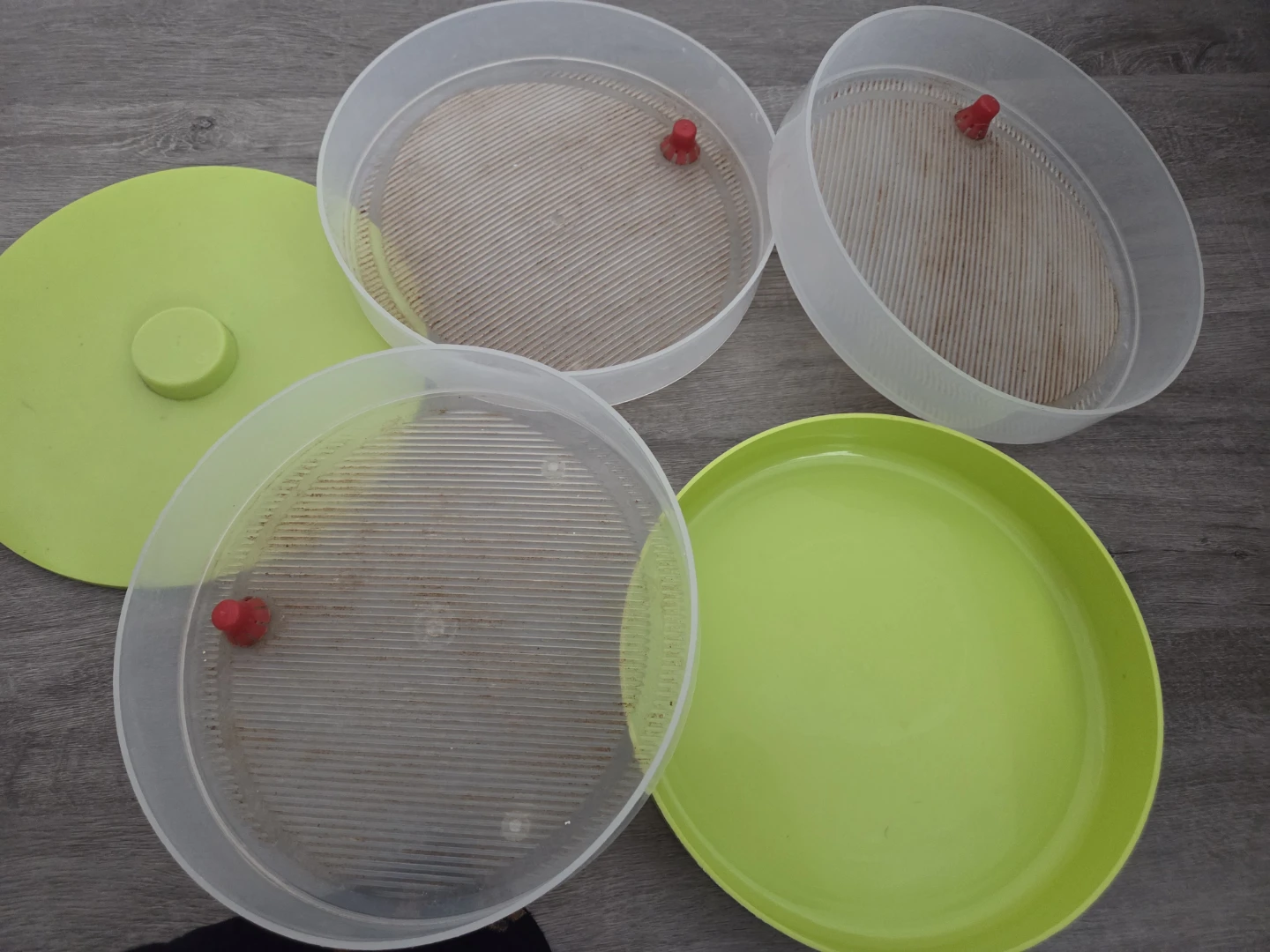 Three-Tiered Sprouting Tray Set - photo 3