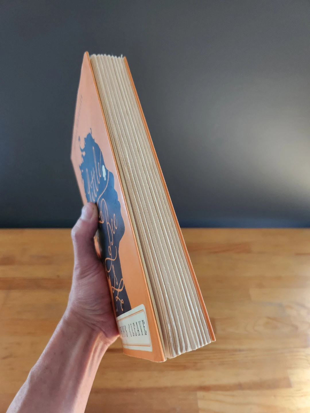 Little Bee by Chris Cleave Paperback Novel - photo 3