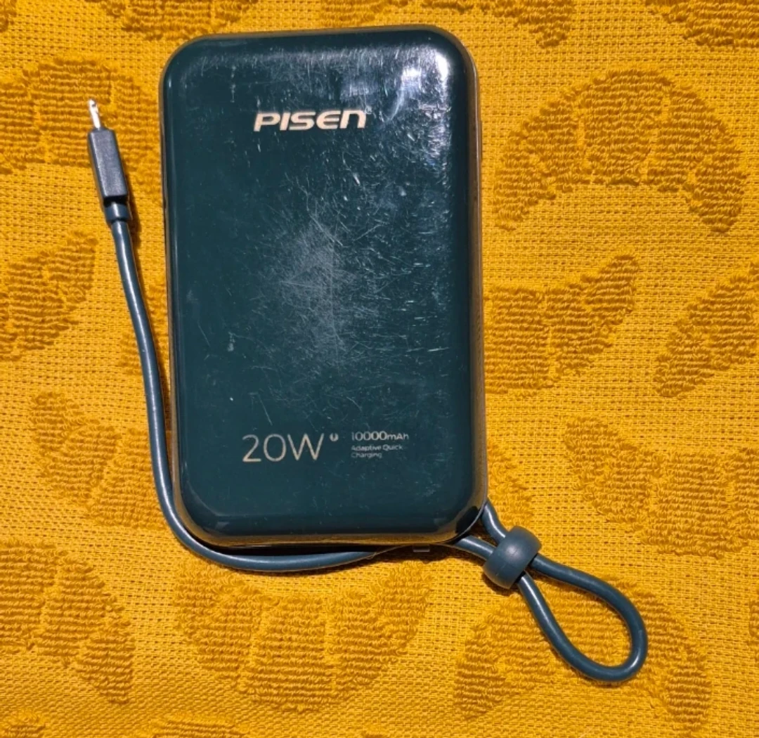 PISEN 10000mAh 20W Power Bank - photo 2