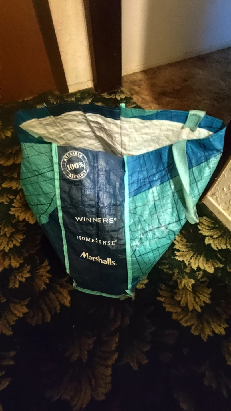 Winners HomeSense Marshalls Reusable Shopping Bag