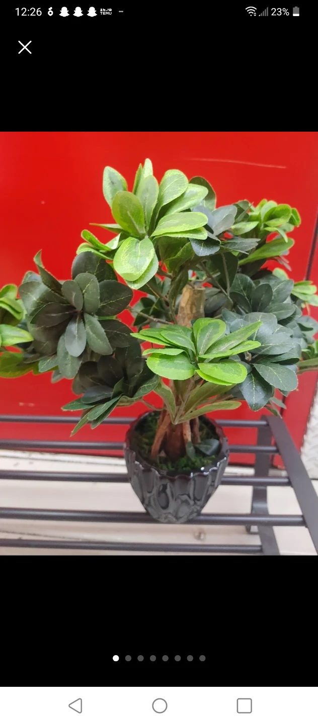 Artificial Bonsai Tree in Pot
