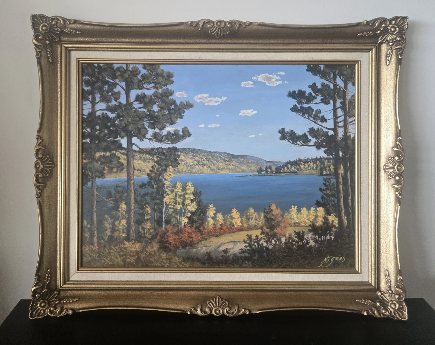 Framed acrylic painting on wood canvas