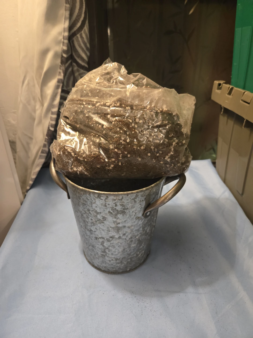 Back to the Roots Windowstill Pepper Planter Grow Kit - photo 4