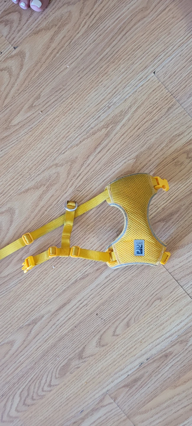NEED RC pets kitty adventure  harness in large Marigold - photo 2