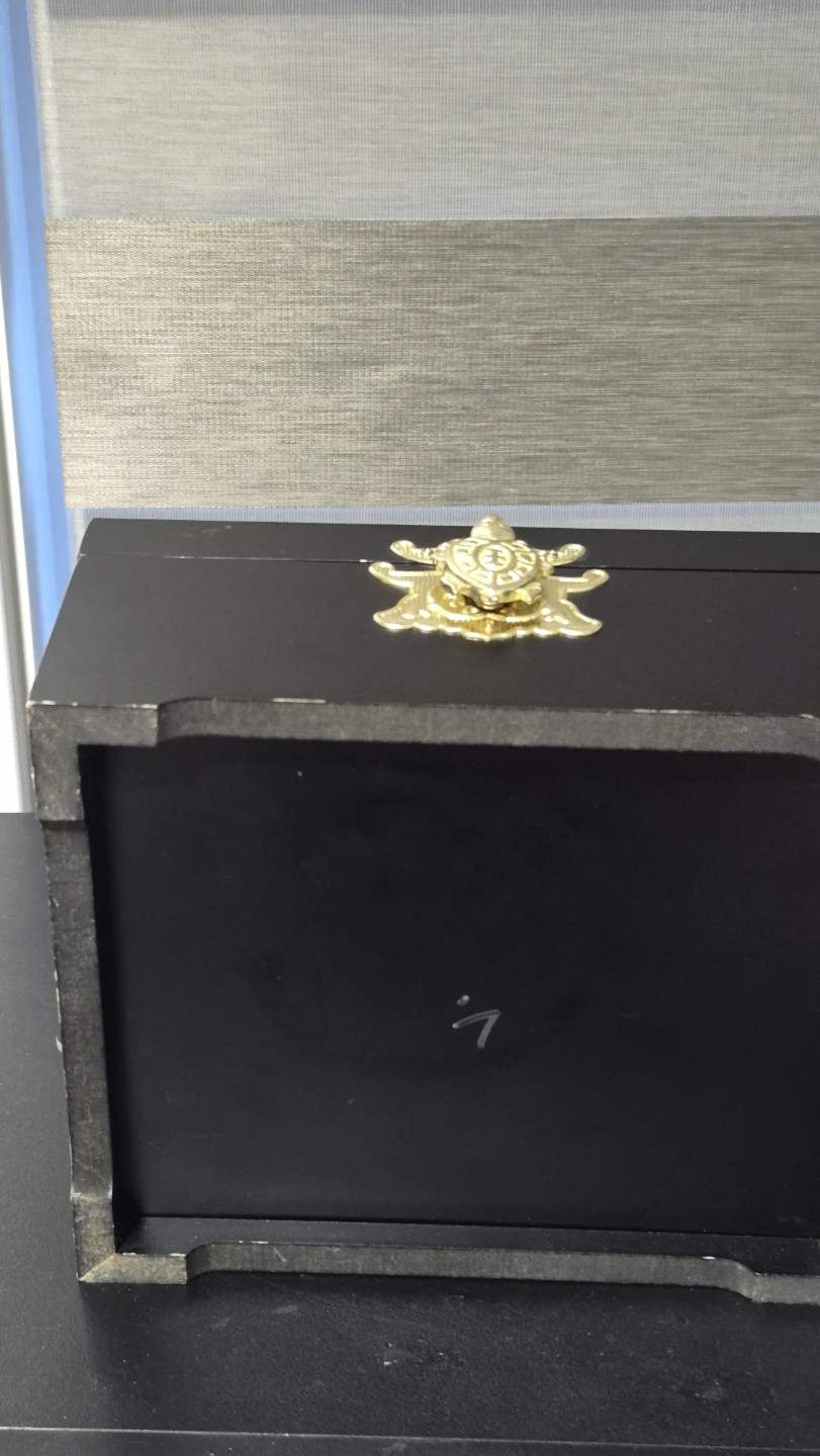 Turtle black  box (Mother of earth) - photo 2