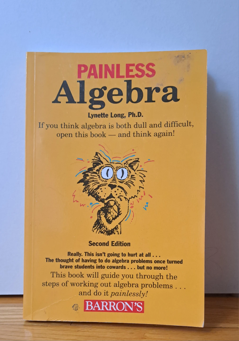 Barron's Painless Algebra Second Edition Book Bundle
