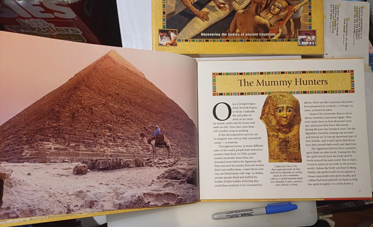 🏈 Secrets of the Mummies by Shelley Tanaka - photo 3