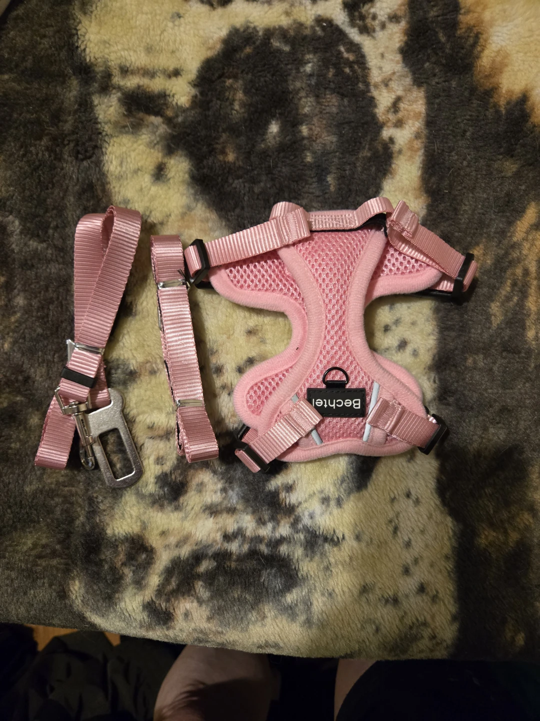 Bechtel Mesh Dog Harness and Leash Set