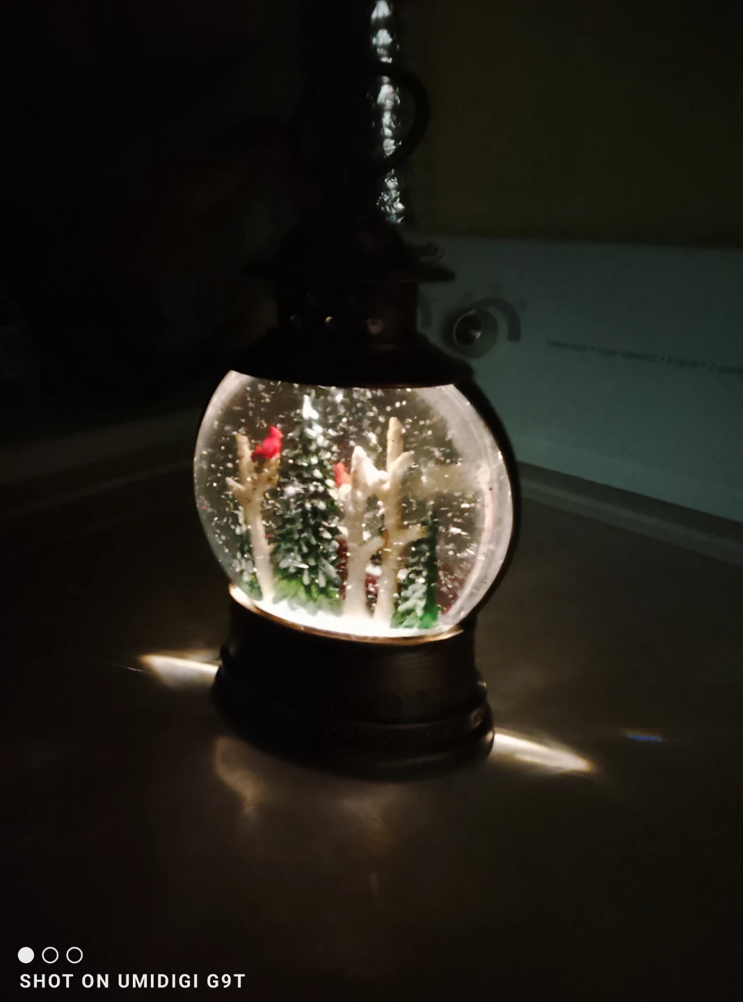 Christmas Cardinal Snow Globe Lantern - photo 2