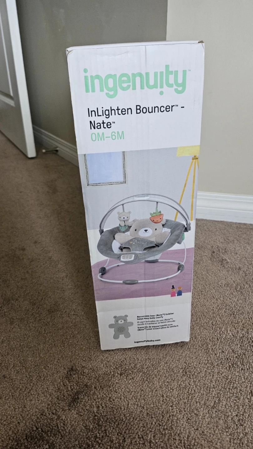 Ingenuity InLighten Bouncer - Nate - photo 5