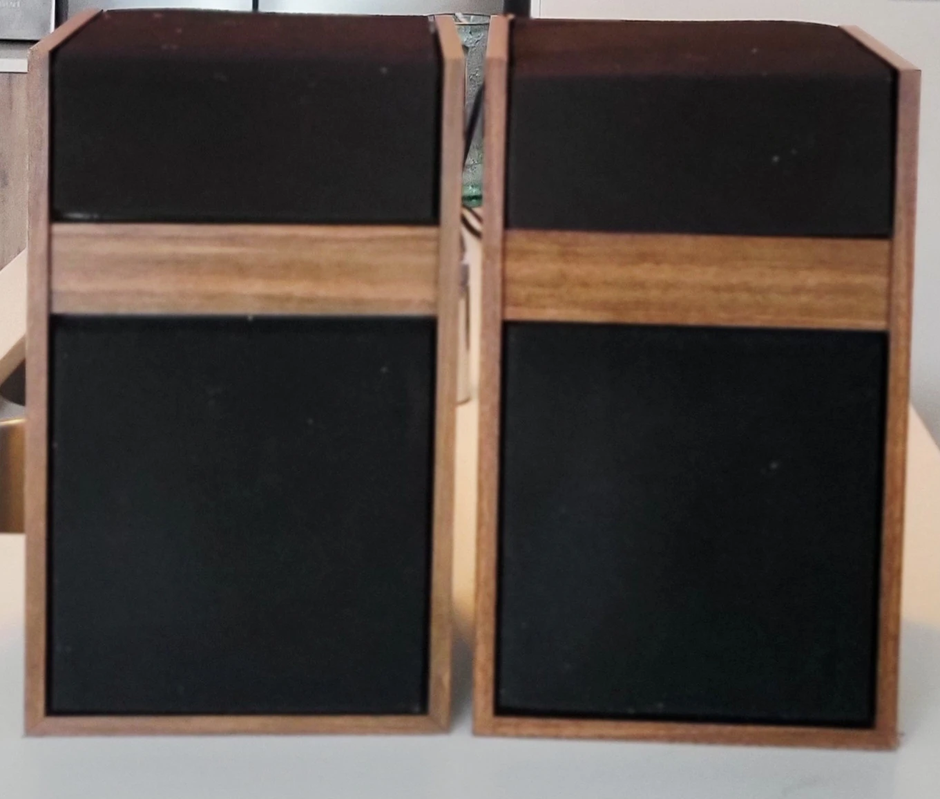 Bose Model 301 Vintage Speakers