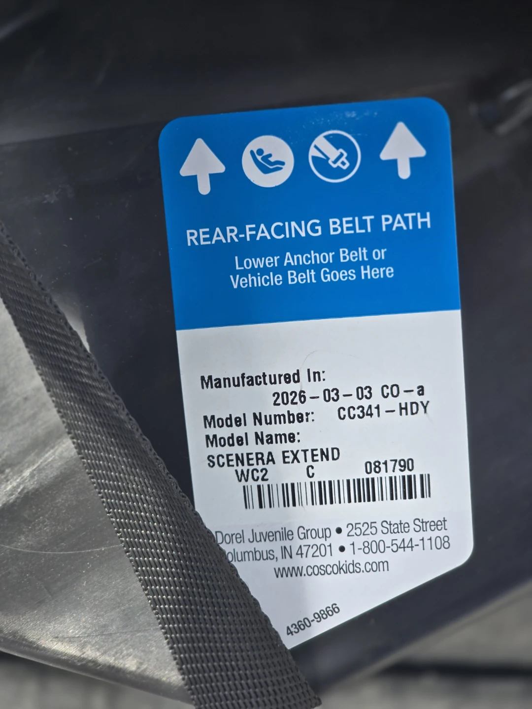 Cosco Scenera Extend Convertible Car Seat