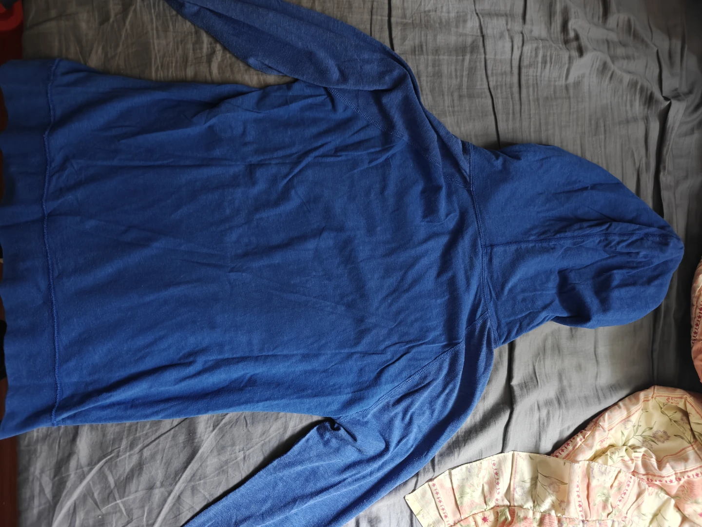 American Eagle Athletic Fit Hoodie - photo 3