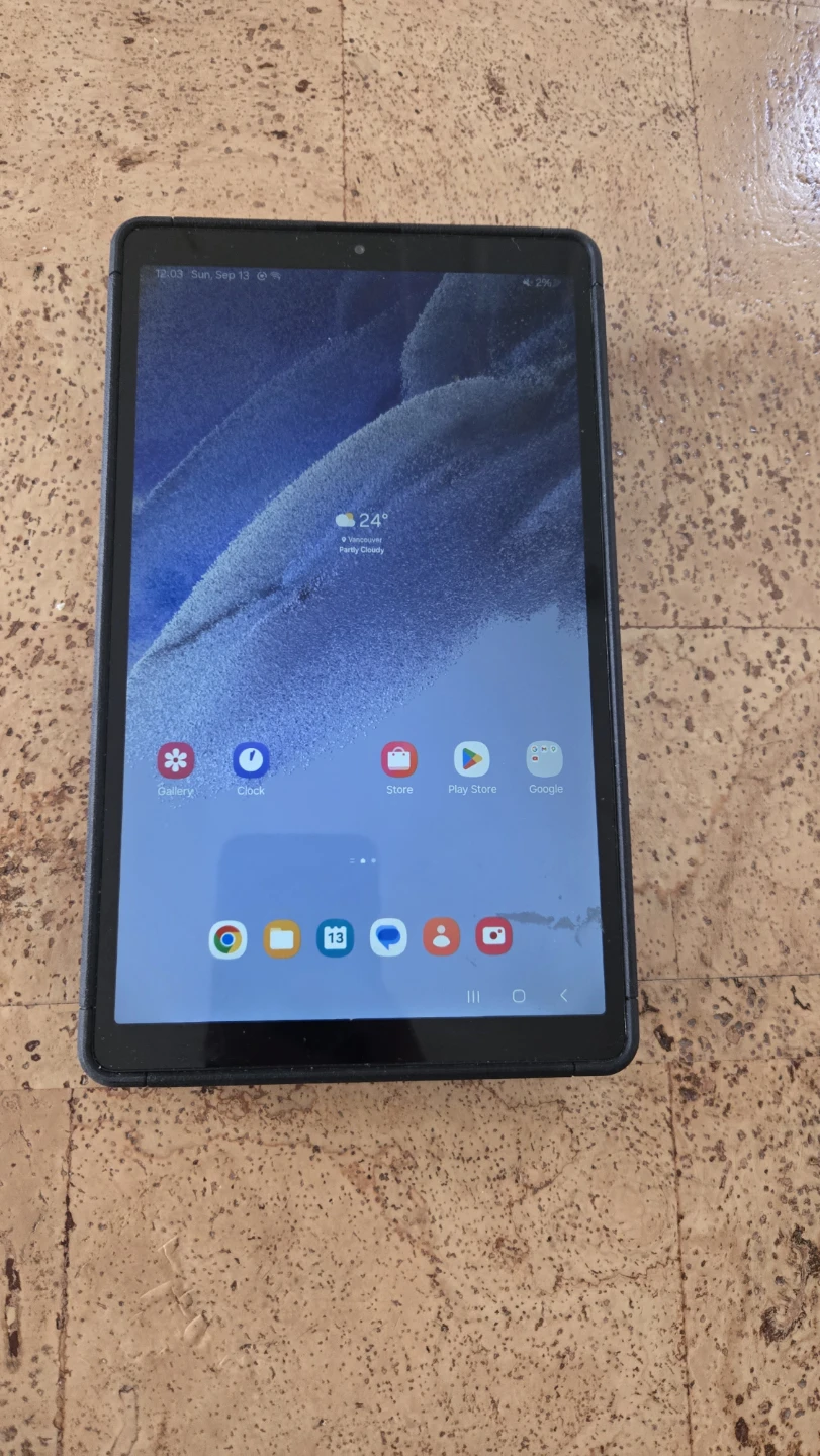 Samsung Galaxy Tab A7 Lite - photo 2
