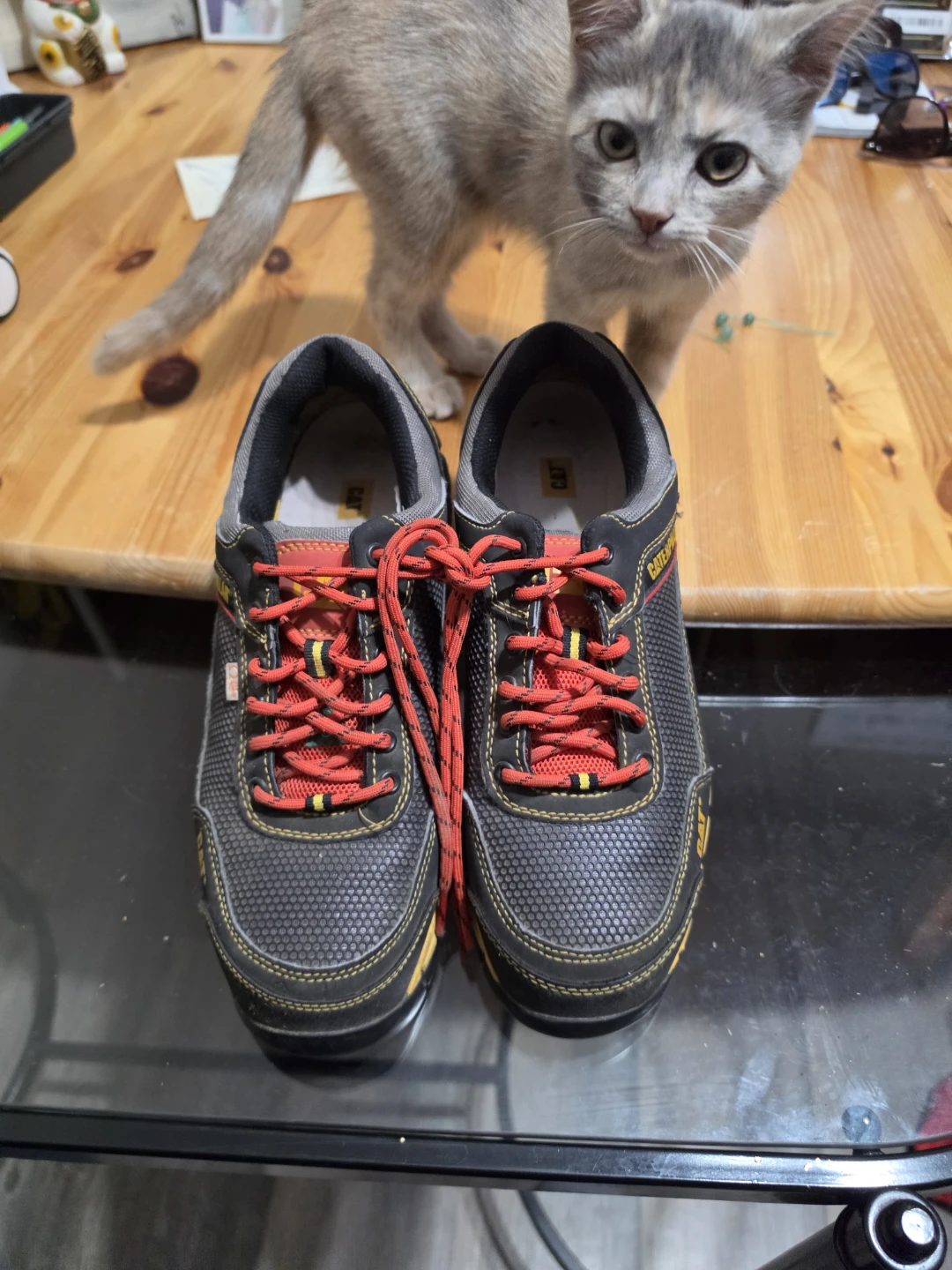 Caterpillar Work Shoes - SZ 8 STEEL TOES