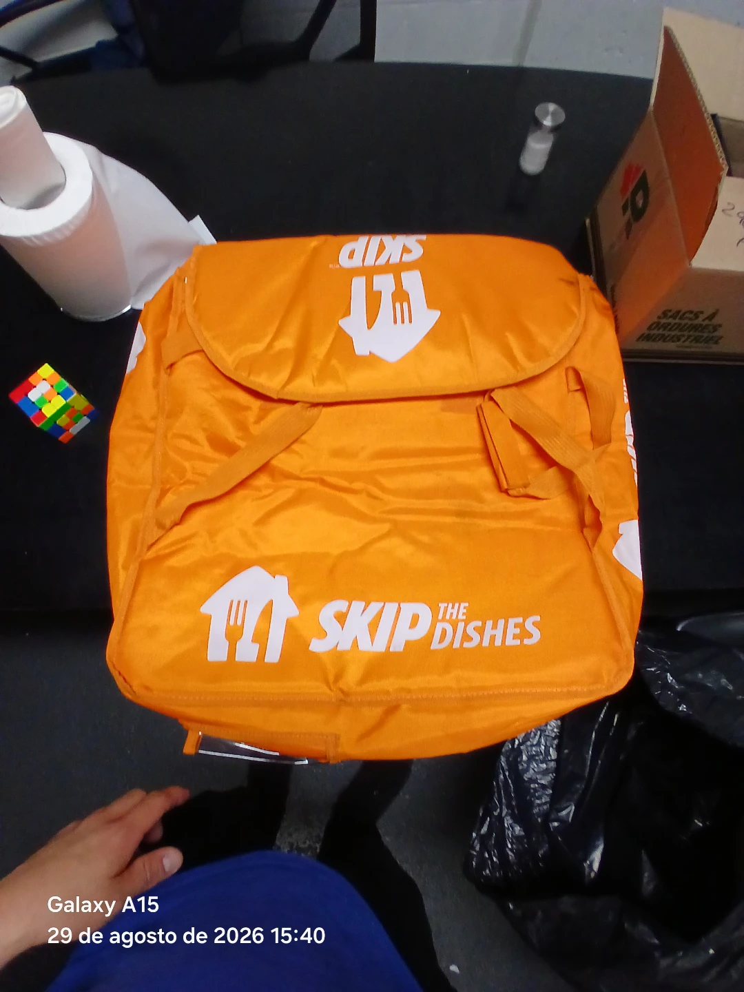 Skip The Dishes Delivery Bag