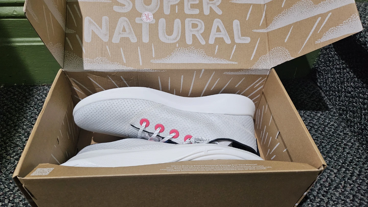 Allbirds Tree Runners in Light Gray