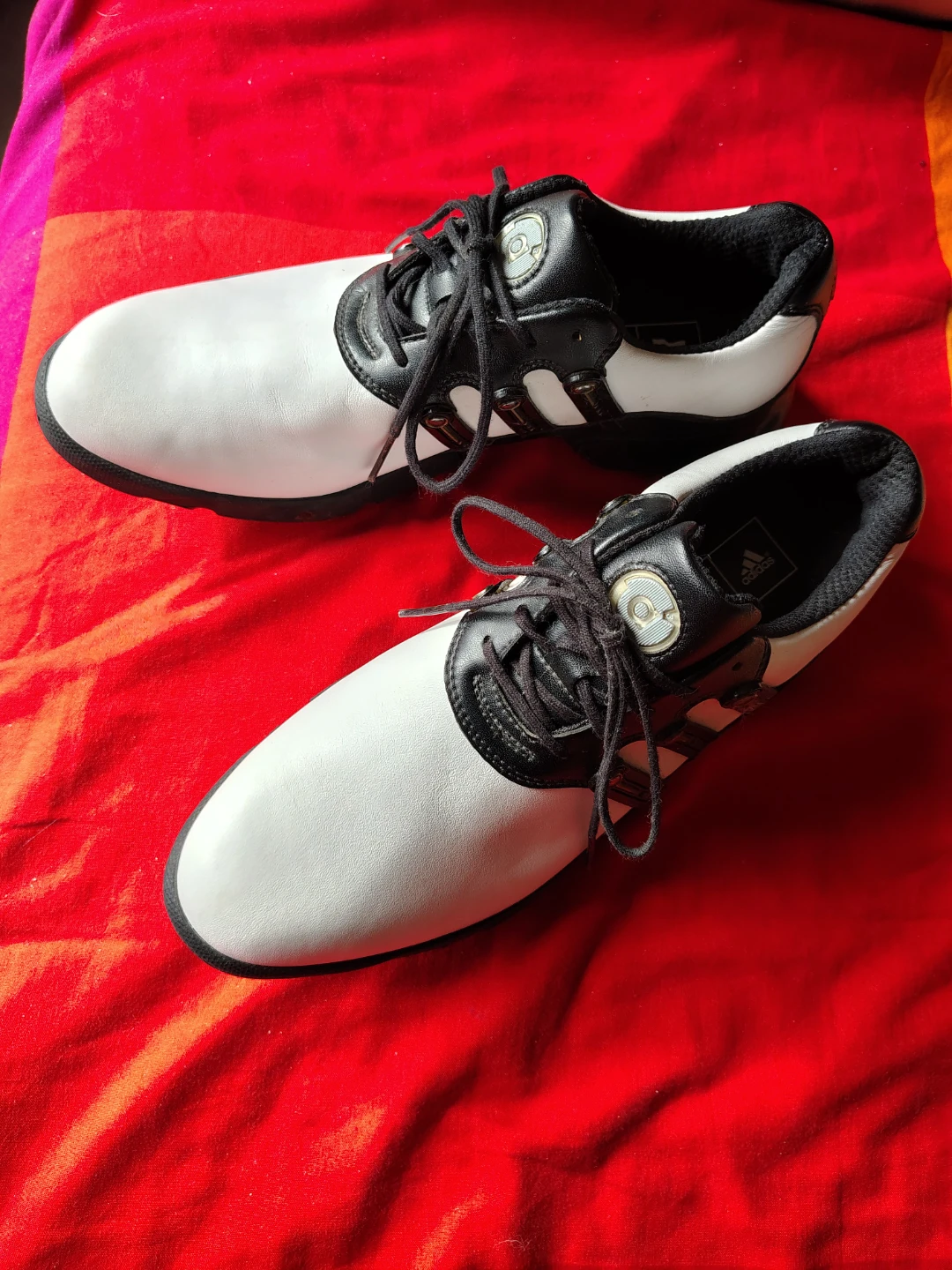 Golf Shoes - White and Black Adidas