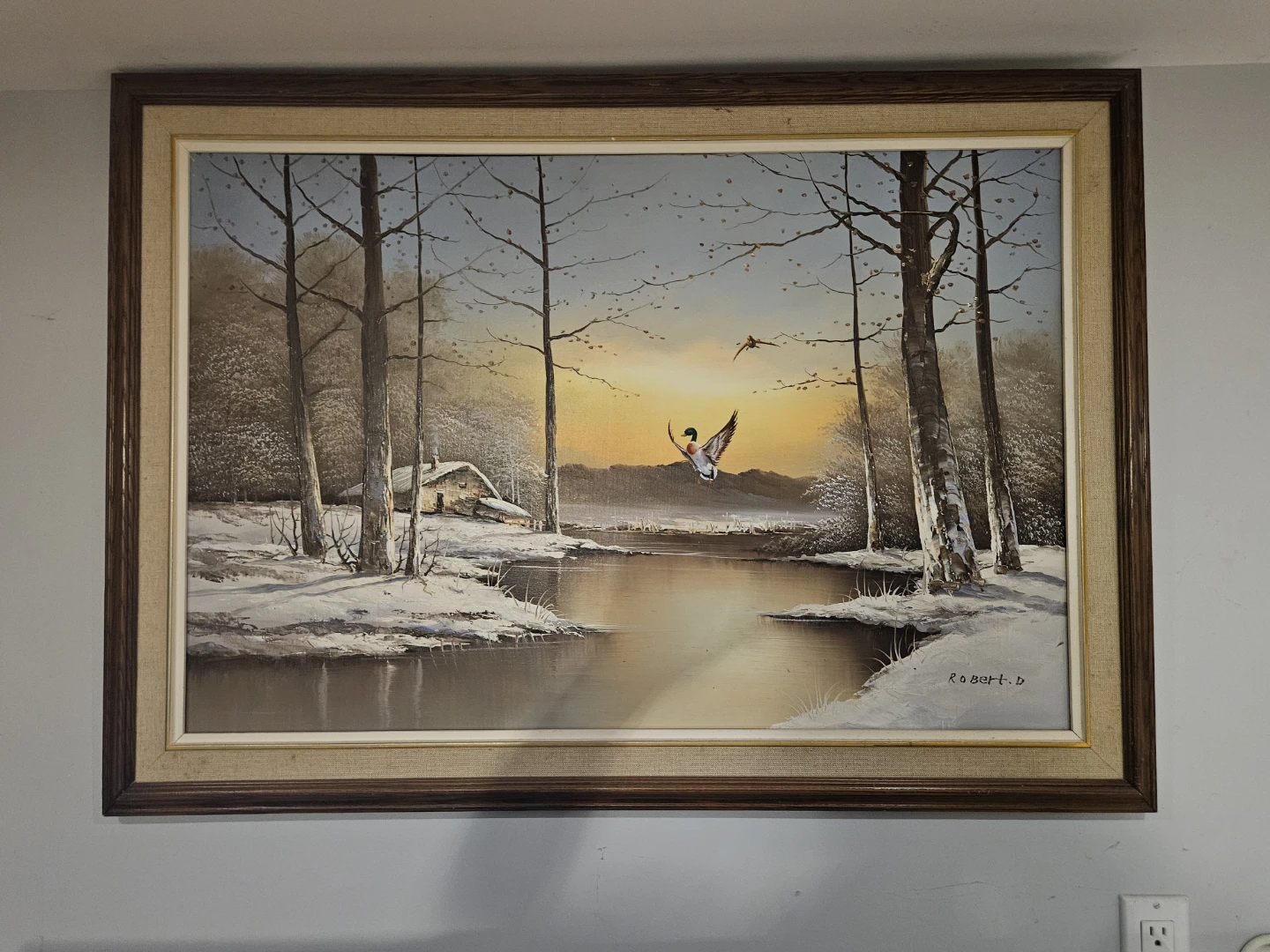 Wildlife Picture