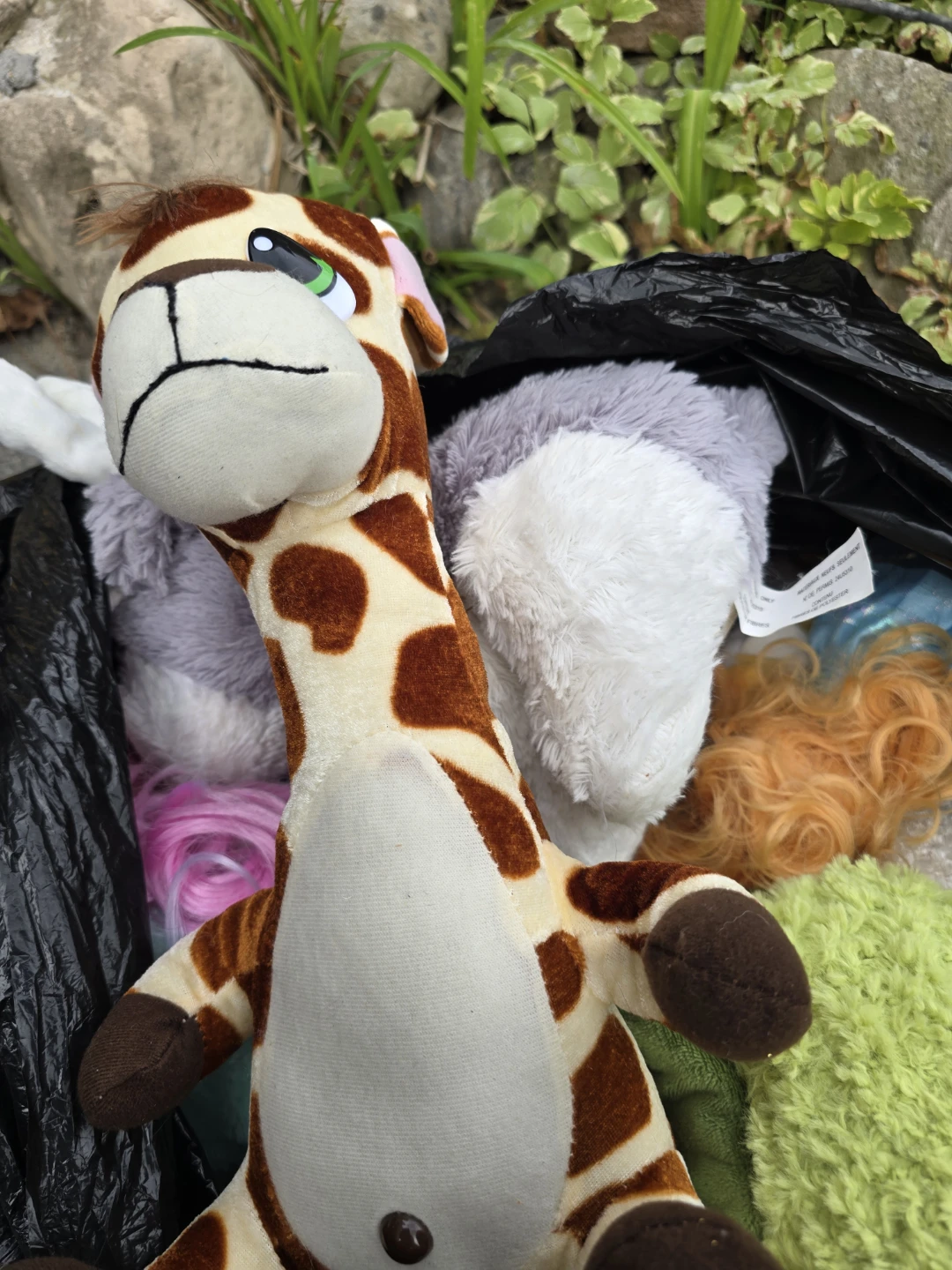 Assorted Plush Toys and Dolls Bundle
