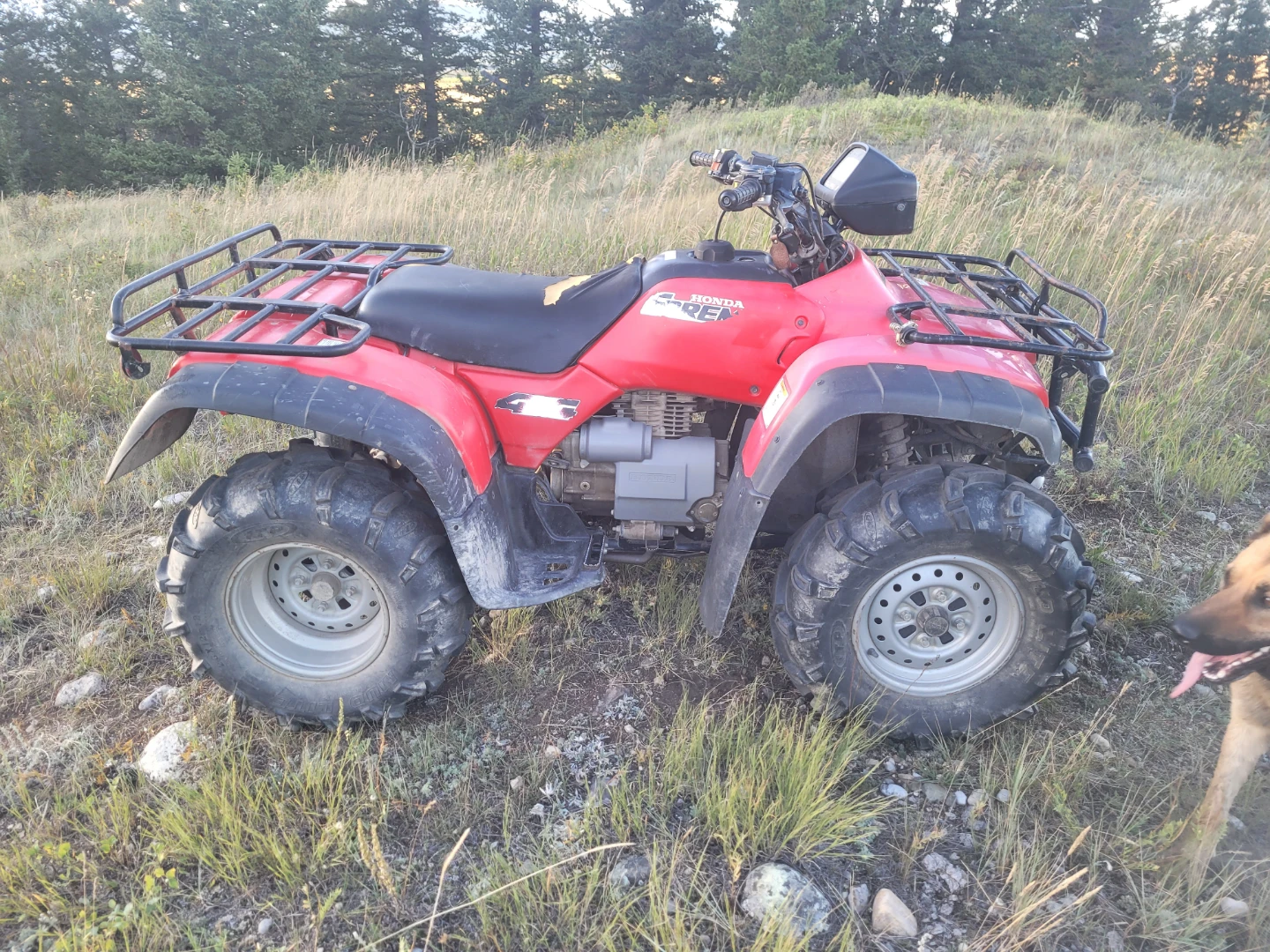 2004 Honda 450 Foreman S - photo 2