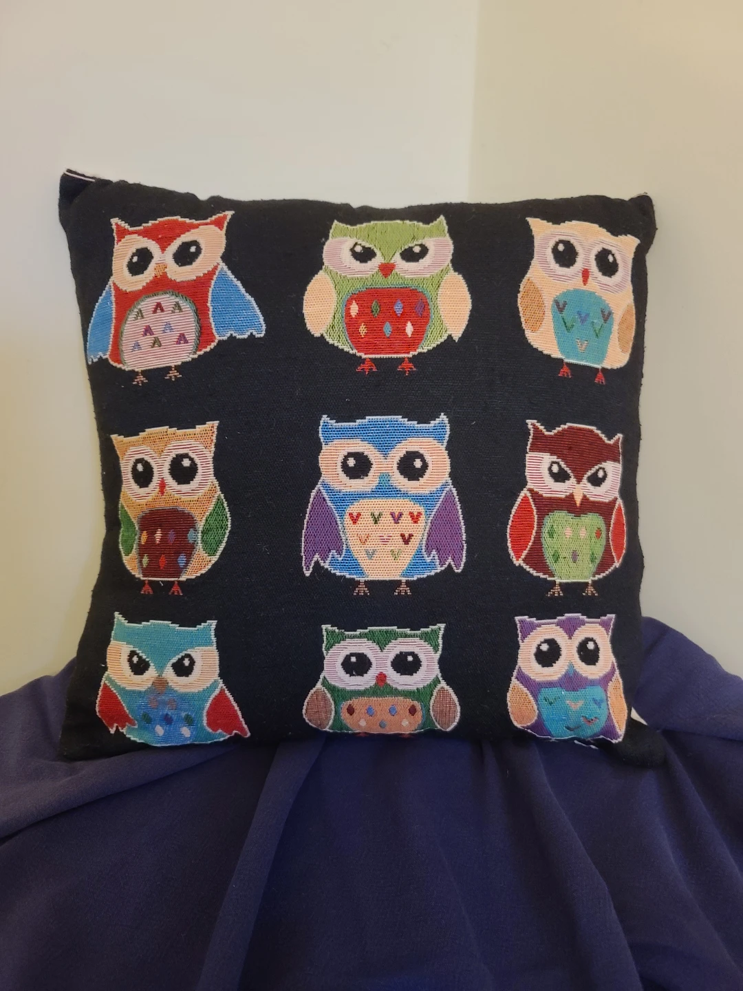 4-Piece Cozy Home Pillow & Cushion Set