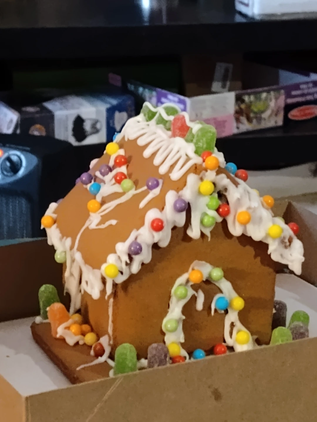Assembled Gingerbread House
