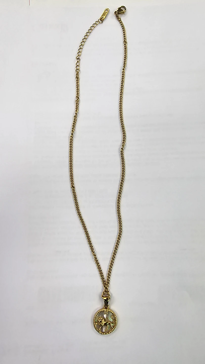 Gold-tone lion pendant necklace