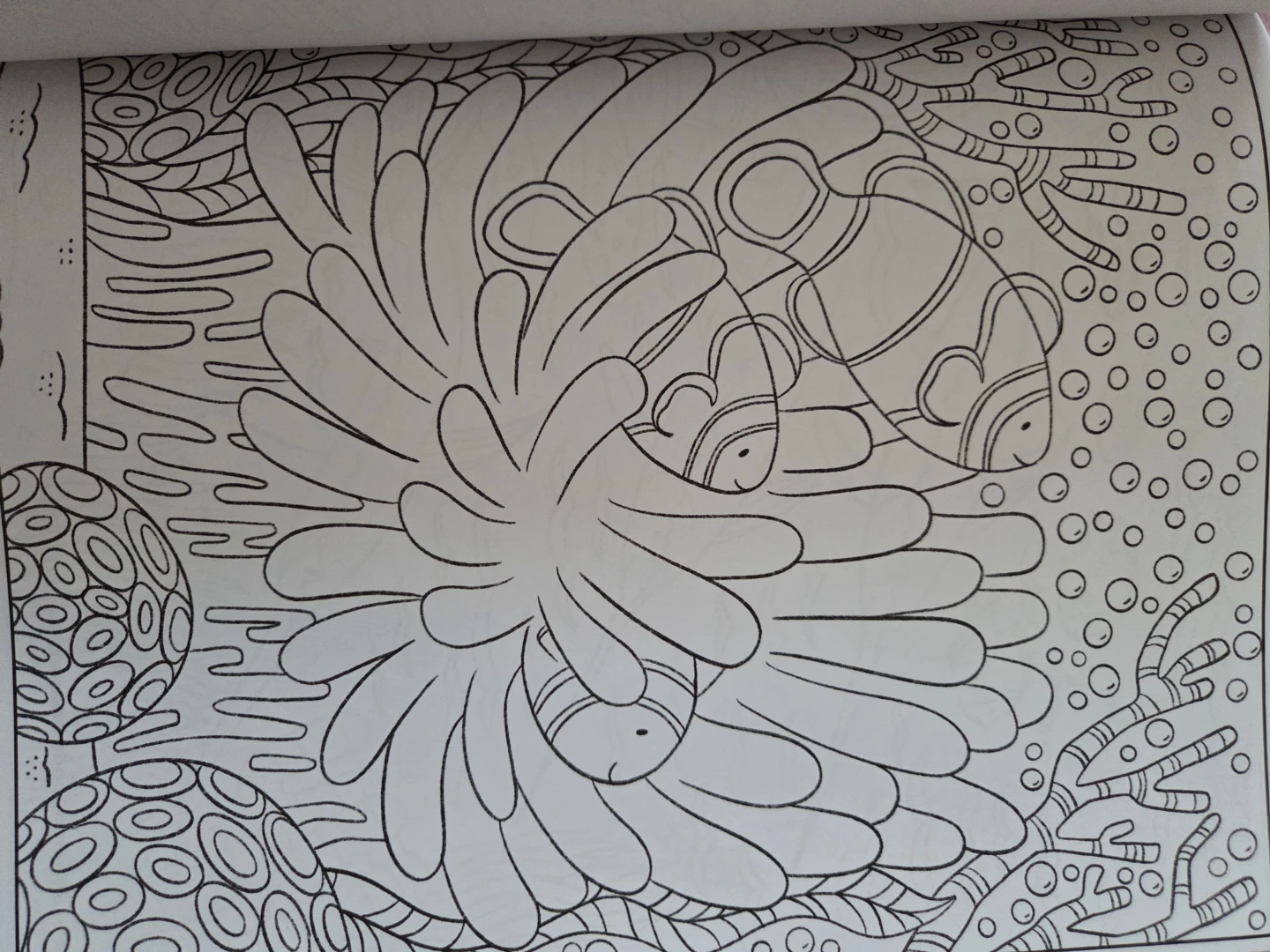 Large Coloring Book 107pages - photo 2