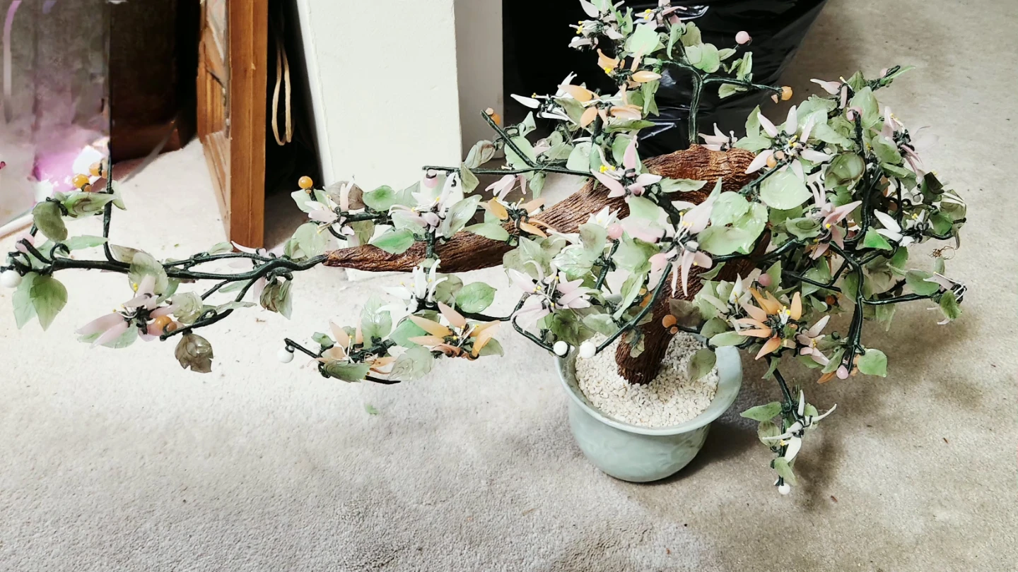 Decorative Jade Bonsai Tree - photo 3
