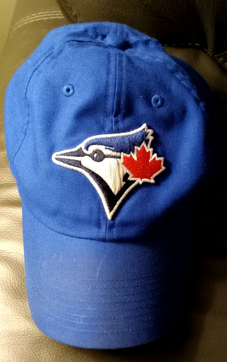 Nike Blue Jays Baseball Hat - photo 4