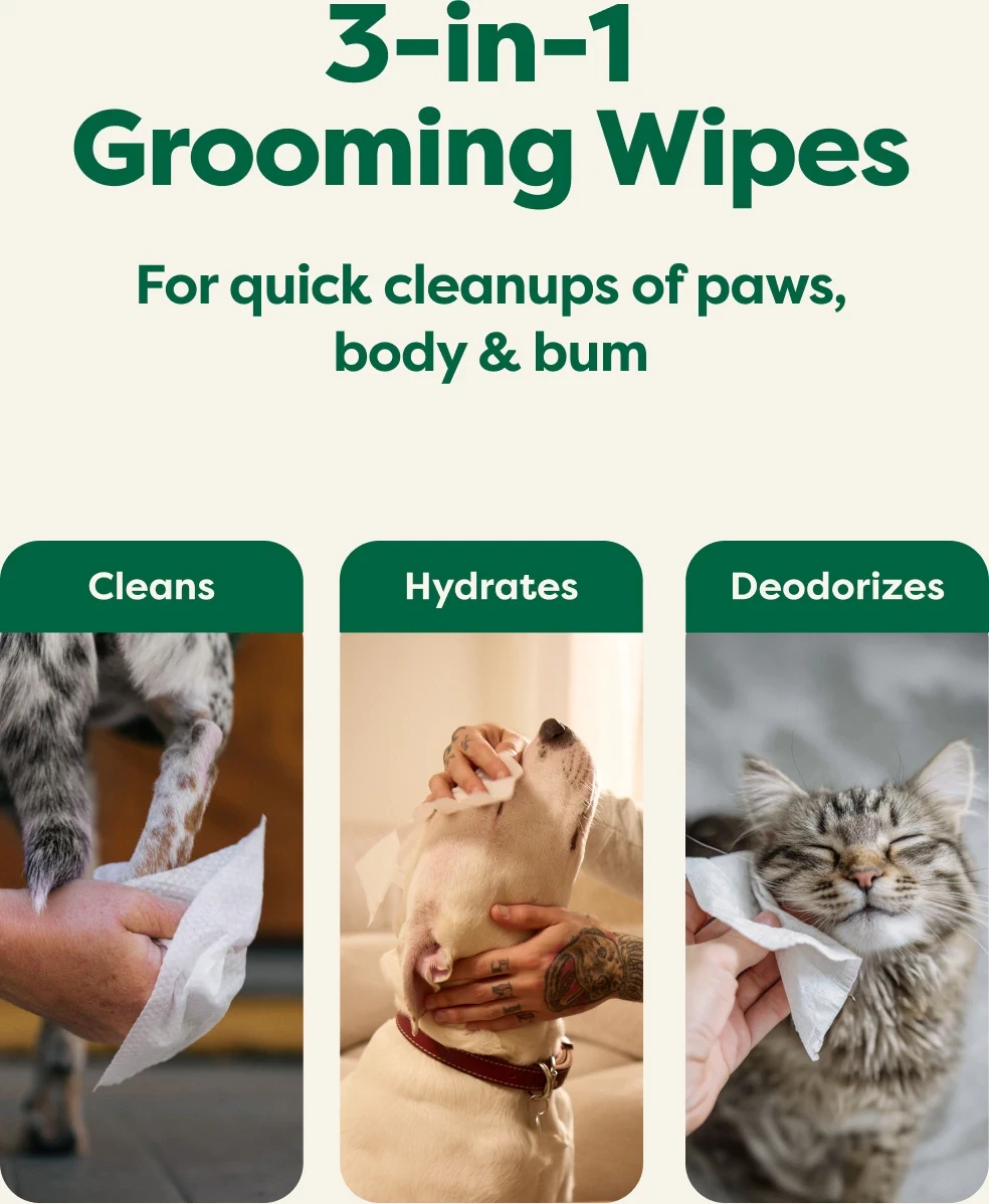 Earth Rated 400 Count Fragrance-Free Pet Wipes - photo 2