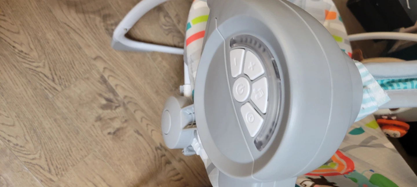 Bright Starts Baby Bouncer Seat - photo 4