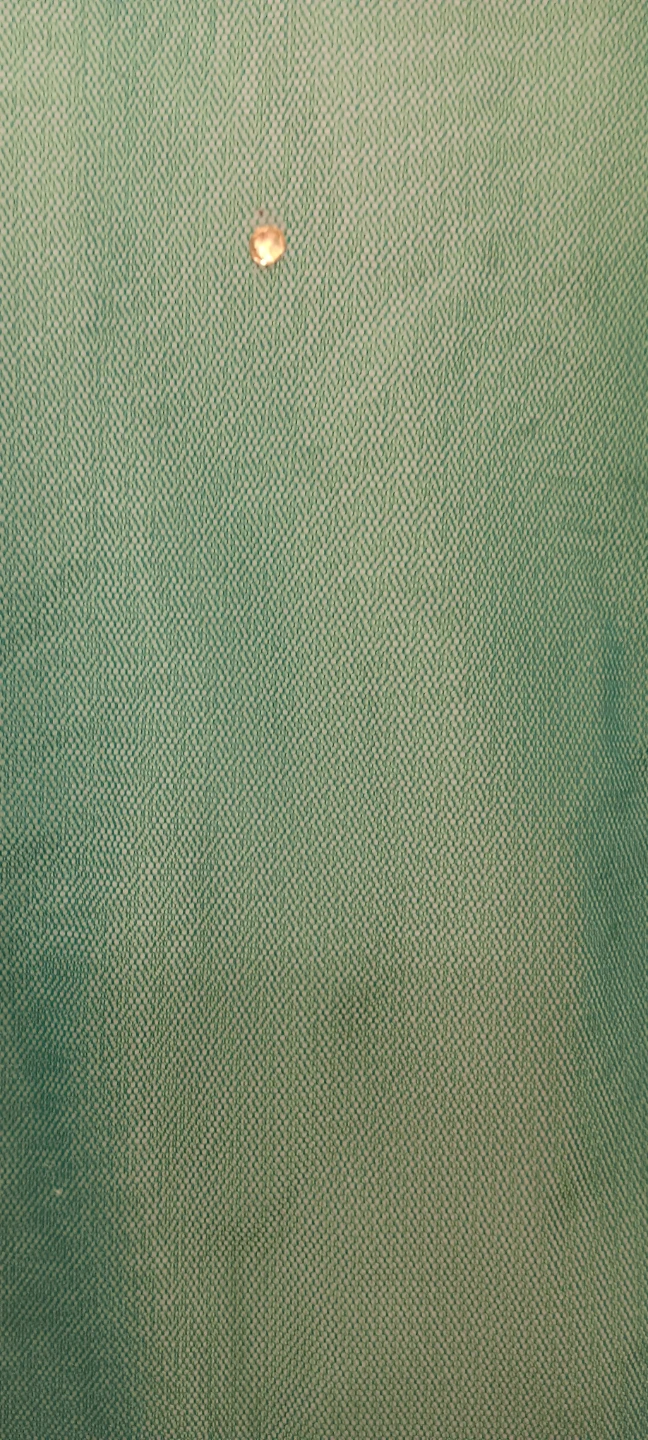 Teal Net Dupatta with Gold Trim - photo 5